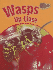 Wasps Up Close