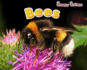 Bees