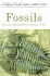 Fossils: a Guide to Prehistoric Life