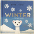Winter: a Pop-Up Book (Seasons Pop-Up)