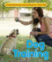 Dog Training (Understanding and Caring for Your Pet)