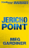 Jericho Point: an Evan Delaney Novel (Evan Delaney Series)