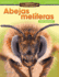 Animales Asombrosos: Abejas Melferas: Valor Posicional Ebook