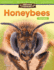 Amazing Animals-Honeybees-Place Value: Place Value