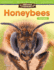 Amazing Animals: Honeybees: Place Value (Mathematics Readers)