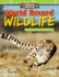 Amazing Animals: World Record Wildlife: Adding and Subtracting Fractions Ebook