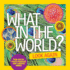 What in the World: Look Again: Fun-Tastic Photo Puzzles for Curious Minds (National Geographic Kids)