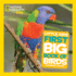 National Geographic Little Kids First Big Book of Birds (National Geographic Little Kids First Big Books)