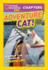 Adventure Cat! : and More True Stories of Mazing Cats!