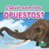 Qu Son Los Opuestos? / What Are Opposites? (Primeros Conceptos/ Early Learning Concepts) (Spanish Edition)