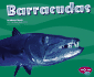 Barracudas (Under the Sea)