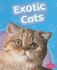 Exotic Cats (Pebble Books: Cats)