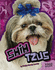 Shih Tzus