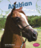 Arabian Horses (Pebble Books; Horses)