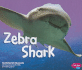 Zebra Shark