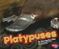 Platypuses