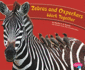 Zebras and Oxpeckers Work Together