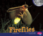 Fireflies (Pebble Plus)