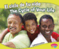 El Ciclo De Tu Vida / the Cycle of Your Life