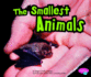 The Smallest Animals