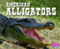 American Alligators