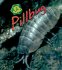 Pillbug (Bug Books)