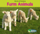 Farm Animals (World of Farming)