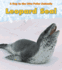 Leopard Seal (a Day in the Life: Polar Animals: Heinemann Read and Learn: Level K)