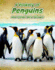 A Rookery of Penguins: and Other Bird Groups (Animals in Groups)