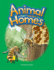 Animal Homes (Early Childhood Themes)