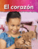 El Corazon / Heart