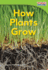 How Plants Grow Emergent Time for Kids Nonfiction Readers Level 14