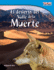 El Desierto del Valle de la Muerte