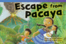 Escape From Pacaya