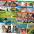 Time for Kids Informational Text Grade 1 Readers 30-Book Set (Time for Kids Nonfiction Readers)