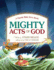Mighty Acts of God: a Family Bible Story Book Meade, Starr and O'Connor, Tim