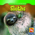Sloths (Animals That Live in the Rain Forest)
