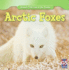 Arctic Foxes (Animals That Live in the Tundra)