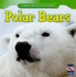 Polar Bears (Animals That Live in the Tundra)