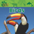 Birds (Amazing Animals)