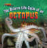 The Bizarre Life Cycle of an Octopus