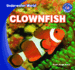 Clownfish