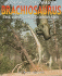 Brachiosaurus: the Long-Limb Dinosaur