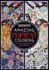 Amazing Copycat Coloring: Cool Pictures to Copy and Complete (Barron's Copycat Coloring)