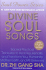 Divine Soul Songs: Sacred Practical Treasures to Heal Rejuvenate and Transform You Humanity Mother Earth and All Universes