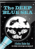 The Deep Blue Sea: a Bedtime Shadow Book (Activity Book)