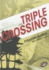 Triple Crossing: a Novel