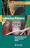 Indonesian Primates