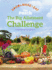 The Big Allotment Challenge: the Patch-Grow Make Eat