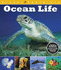 Ocean Life (Visual Explorers)